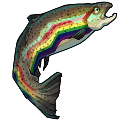 Very Rainbow Trout